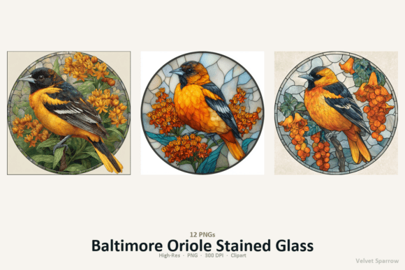 Baltimore Oriole Stained Glass
