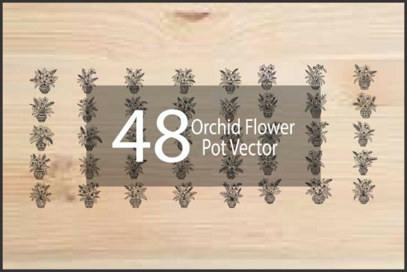Orchid Flower Pot Vector